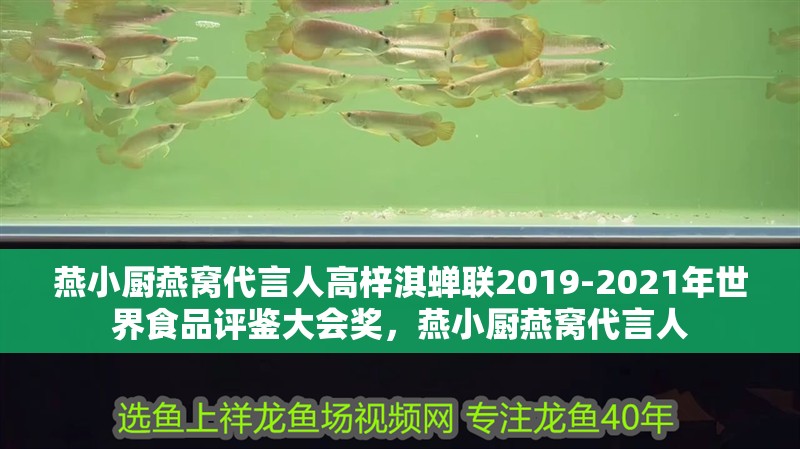 燕小廚燕窩代言人高梓淇蟬聯2019-2021年世界食品評鑒大會獎，燕小廚燕窩代言人 燕小廚燕窩代言人高梓淇蟬聯2019-2021年世界食品評鑒大會獎，燕小廚燕窩代言人 觀賞魚百科 第2張