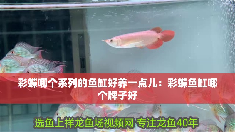 彩蝶哪個系列的魚缸好養一點兒：彩蝶魚缸哪個牌子好