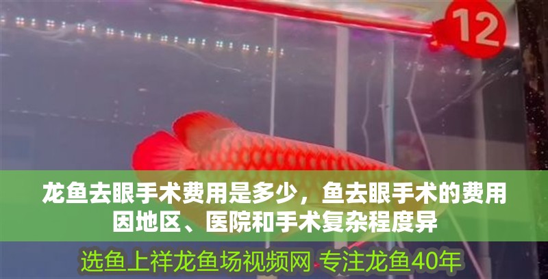 龍魚去眼手術費用是多少，魚去眼手術的費用因地區(qū)、醫(yī)院和手術復雜程度異 龍魚去眼手術費用是多少，魚去眼手術的費用因地區(qū)、醫(yī)院和手術復雜程度異 觀賞魚百科 第3張