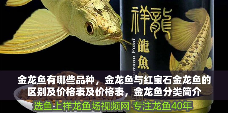 金龍魚有哪些品種，金龍魚與紅寶石金龍魚的區別及價格表及價格表，金龍魚分類簡介