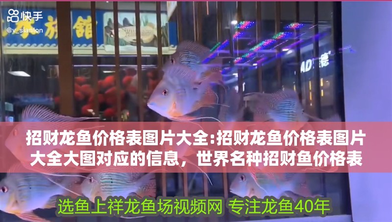 招財龍魚價格表圖片大全:招財龍魚價格表圖片大全大圖對應的信息，世界名種招財魚價格表圖片大全 招財龍魚價格表圖片大全:招財龍魚價格表圖片大全大圖對應的信息，世界名種招財魚價格表圖片大全 觀賞魚百科