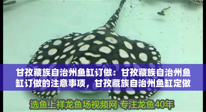 甘孜藏族自治州魚缸訂做：甘孜藏族自治州魚缸訂做的注意事項，甘孜藏族自治州魚缸定做