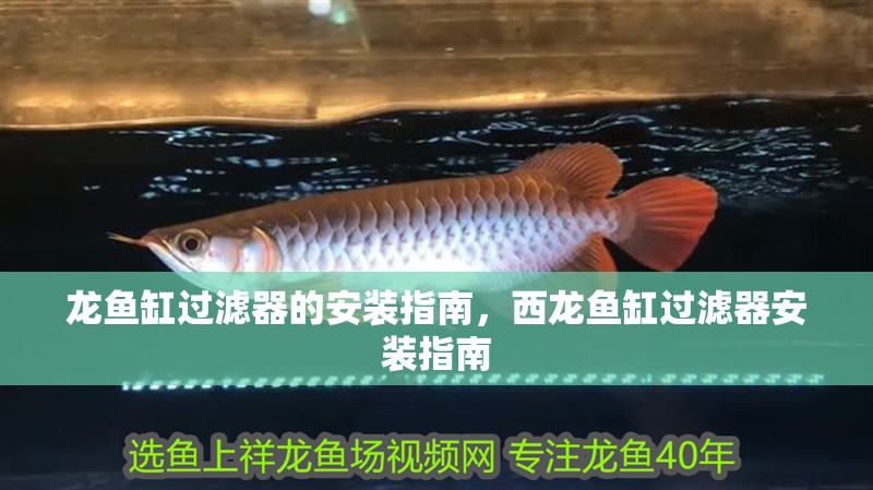 龍魚缸過濾器的安裝指南，西龍魚缸過濾器安裝指南