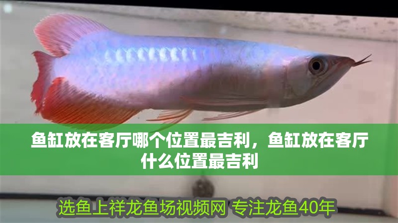 魚(yú)缸放在客廳哪個(gè)位置最吉利，魚(yú)缸放在客廳什么位置最吉利