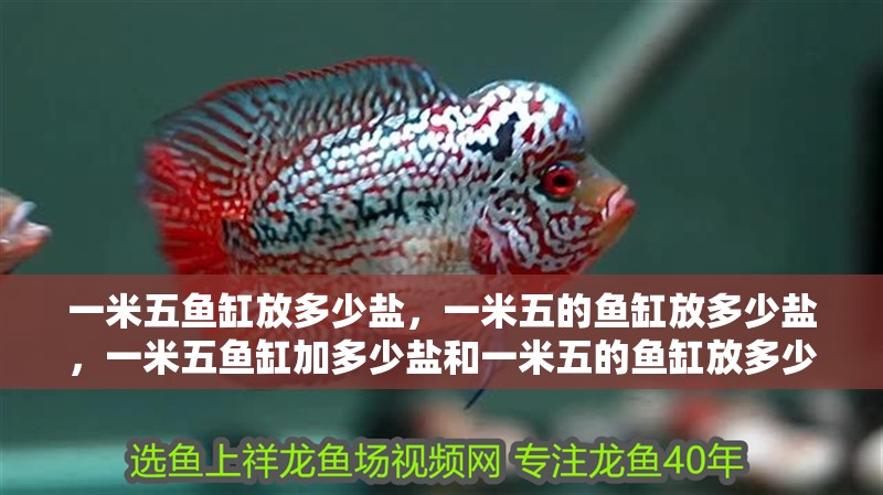 一米五魚缸放多少鹽，一米五的魚缸放多少鹽，一米五魚缸加多少鹽和一米五的魚缸放多少鹽和一米五的魚缸放多少