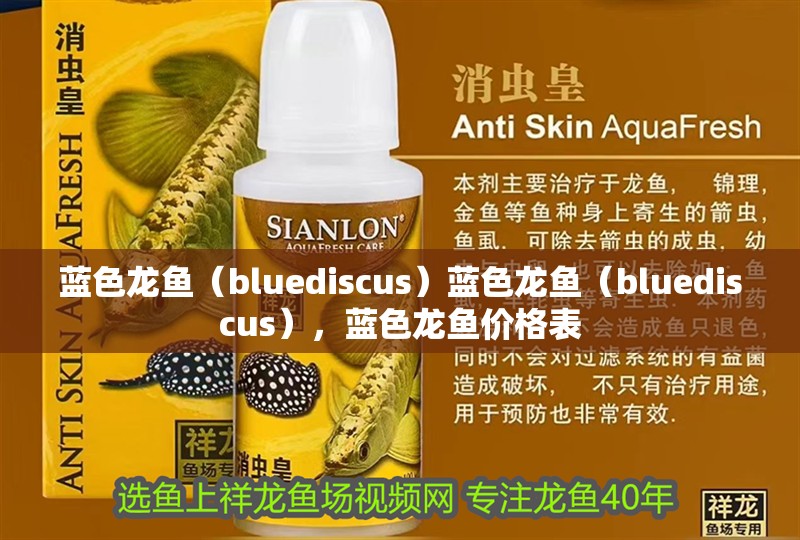 藍色龍魚（bluediscus）藍色龍魚（bluediscus），藍色龍魚價格表
