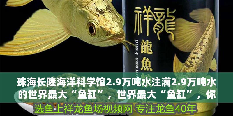 珠海長隆海洋科學館2.9萬噸水注滿2.9萬噸水的世界最大“魚缸”，世界最大“魚缸”，你能想象一下有多大嗎？