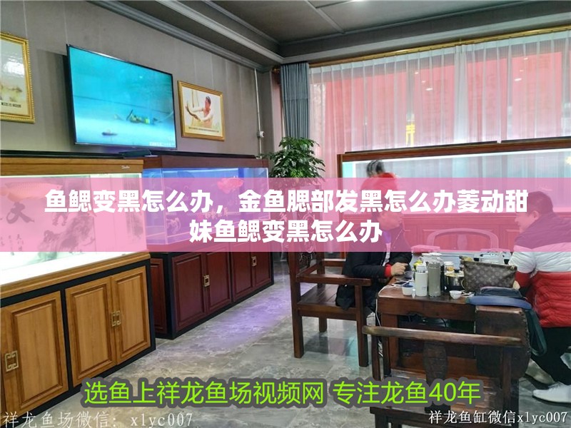 魚鰓變黑怎么辦，金魚腮部發黑怎么辦菱動甜妹魚鰓變黑怎么辦