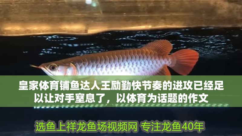 皇家體育鋪魚達人王勵勤快節奏的進攻已經足以讓對手窒息了，以體育為話題的作文
