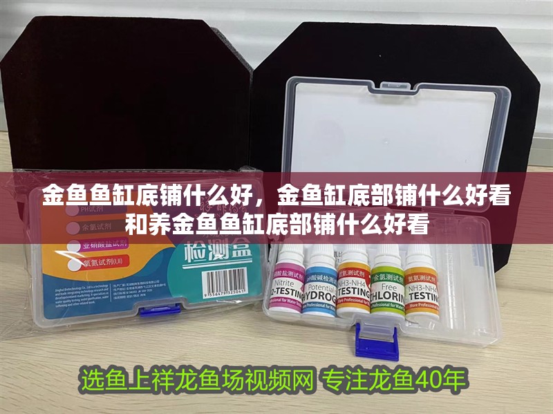 金魚魚缸底鋪什么好，金魚缸底部鋪什么好看和養金魚魚缸底部鋪什么好看