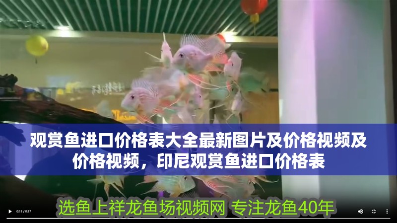 觀賞魚進口價格表大全最新圖片及價格視頻及價格視頻，印尼觀賞魚進口價格表 觀賞魚進口價格表大全最新圖片及價格視頻及價格視頻，印尼觀賞魚進口價格表 觀賞魚百科 第2張