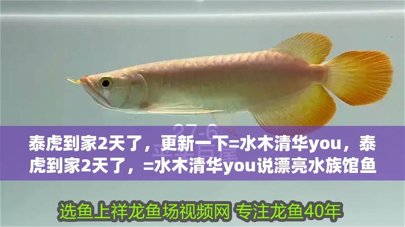 泰虎到家2天了，更新一下=水木清華you，泰虎到家2天了，=水木清華you說漂亮水族館魚友贏在江湖