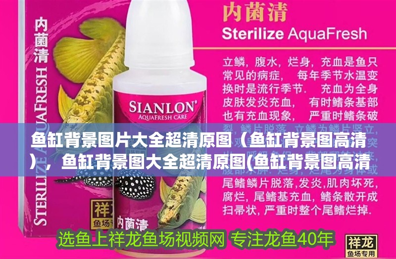 魚缸背景圖片大全超清原圖（魚缸背景圖高清），魚缸背景圖大全超清原圖(魚缸背景圖高清)