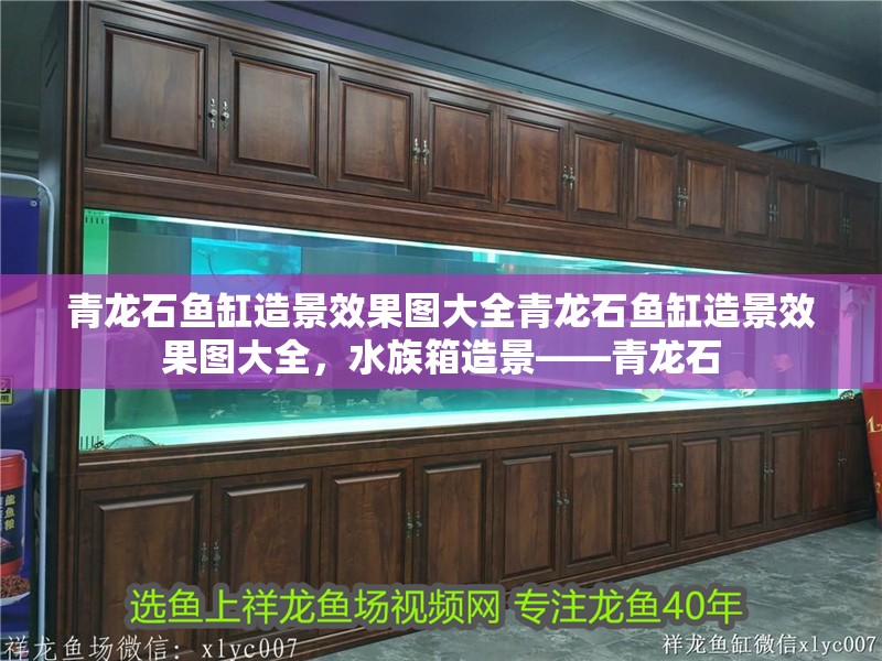 青龍石魚缸造景效果圖大全青龍石魚缸造景效果圖大全，水族箱造景——青龍石