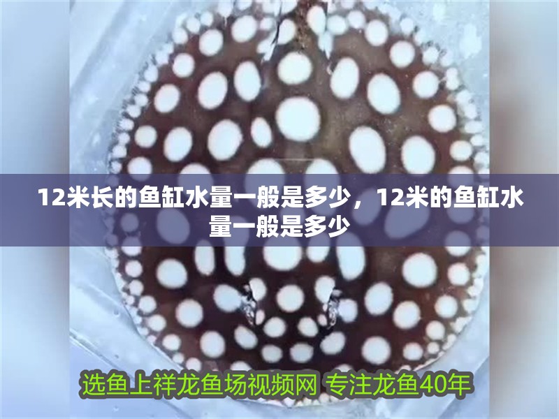 12米長的魚缸水量一般是多少，12米的魚缸水量一般是多少 12米長的魚缸水量一般是多少，12米的魚缸水量一般是多少 觀賞魚百科