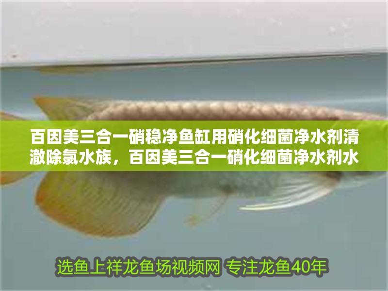 百因美三合一硝穩凈魚缸用硝化細菌凈水劑清澈除氯水族，百因美三合一硝化細菌凈水劑水質穩定劑清澈除氯水族