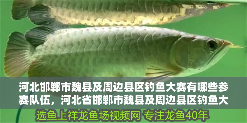 河北邯鄲市魏縣及周邊縣區(qū)釣魚大賽有哪些參賽隊伍，河北省邯鄲市魏縣及周邊縣區(qū)釣魚大賽有哪些參賽隊伍