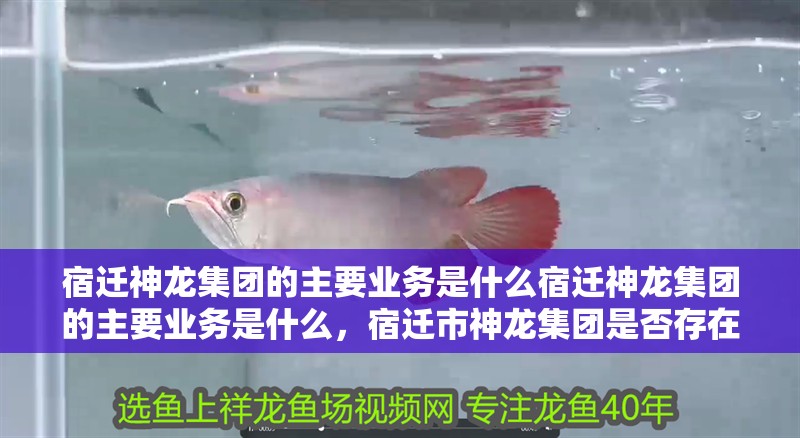 宿遷神龍集團的主要業務是什么宿遷神龍集團的主要業務是什么,宿遷市神龍集團是否存在? 觀賞魚百科 第2張 宿遷神龍集團的主要業務是什么宿遷神龍集團的主要業務是什么,宿遷市神龍集團是否存在? 宿遷神龍集團的主要業務是什么宿遷神龍集團的主要業務是什么,宿遷市神龍集團是否存在? 觀賞魚百科 第2張