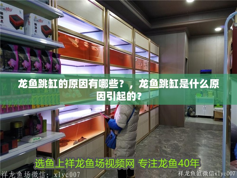 龍魚跳缸的原因有哪些？，龍魚跳缸是什么原因引起的？