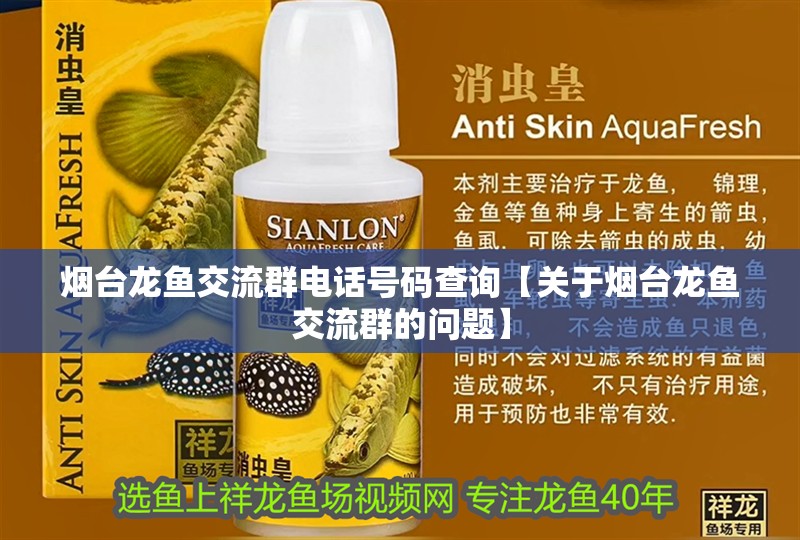 煙臺龍魚交流群電話號碼查詢【關于煙臺龍魚交流群的問題】