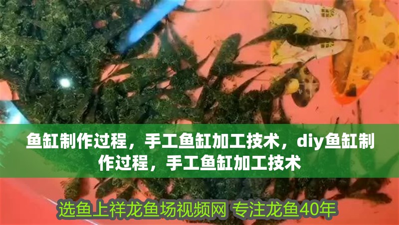 魚缸制作過程，手工魚缸加工技術，diy魚缸制作過程，手工魚缸加工技術 魚缸制作過程，手工魚缸加工技術，diy魚缸制作過程，手工魚缸加工技術 觀賞魚百科 第2張