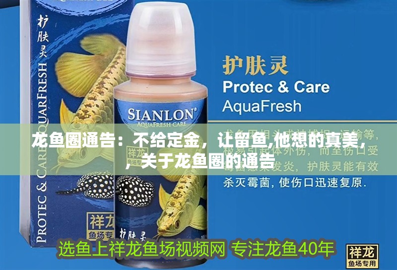 龍魚圈通告：不給定金，讓留魚,他想的真美，，關于龍魚圈的通告