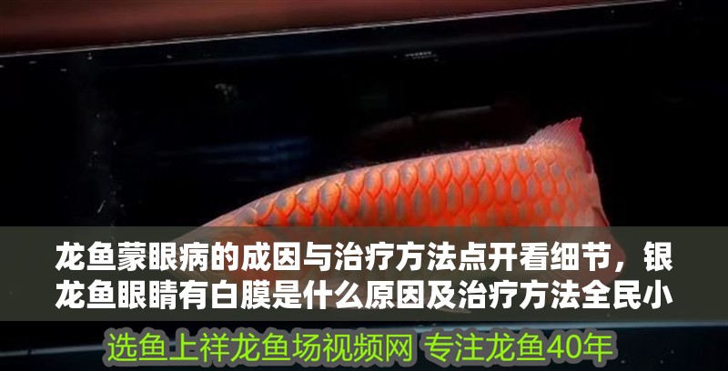 龍魚蒙眼病的成因與治療方法點(diǎn)開看細(xì)節(jié)，銀龍魚眼睛有白膜是什么原因及治療方法全民小視頻 龍魚蒙眼病的成因與治療方法點(diǎn)開看細(xì)節(jié)，銀龍魚眼睛有白膜是什么原因及治療方法全民小視頻 觀賞魚百科 第17張
