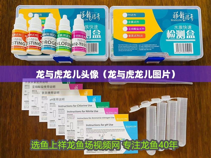 龍與虎龍兒頭像（龍與虎龍兒圖片）