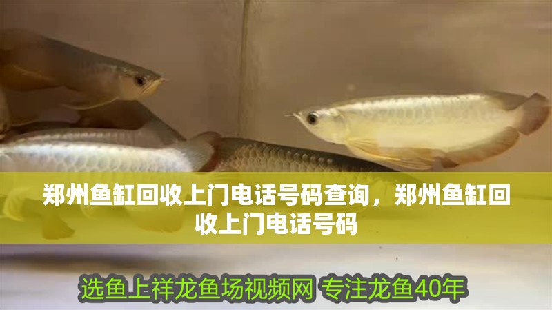 鄭州魚(yú)缸回收上門(mén)電話號(hào)碼查詢，鄭州魚(yú)缸回收上門(mén)電話號(hào)碼