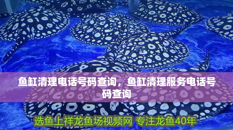 魚缸清理電話號碼查詢，魚缸清理服務電話號碼查詢