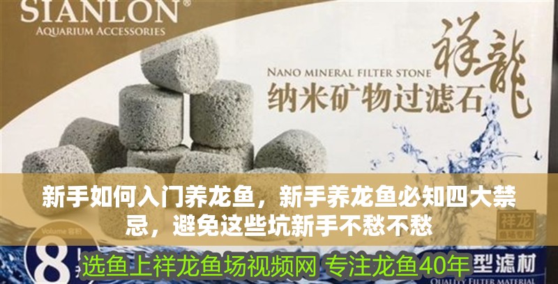 新手如何入門養龍魚，新手養龍魚必知四大禁忌，避免這些坑新手不愁不愁 新手如何入門養龍魚，新手養龍魚必知四大禁忌，避免這些坑新手不愁不愁 觀賞魚百科 第22張