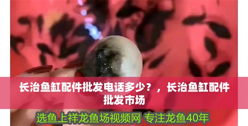 長治魚缸配件批發電話多少？，長治魚缸配件批發市場