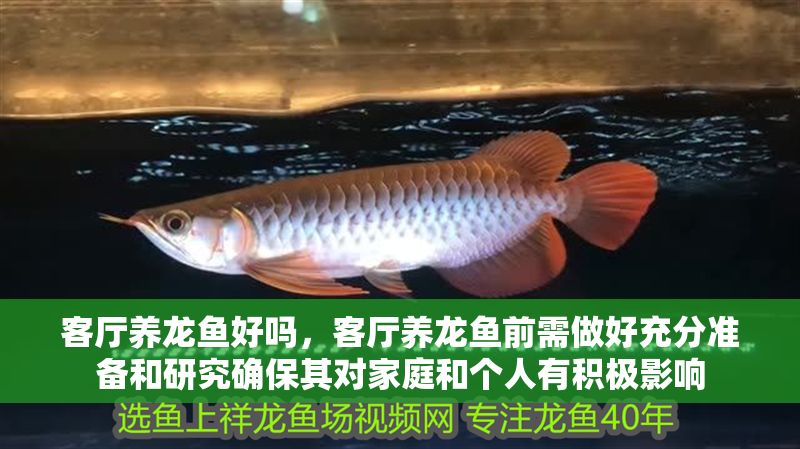 客廳養龍魚好嗎，客廳養龍魚前需做好充分準備和研究確保其對家庭和個人有積極影響