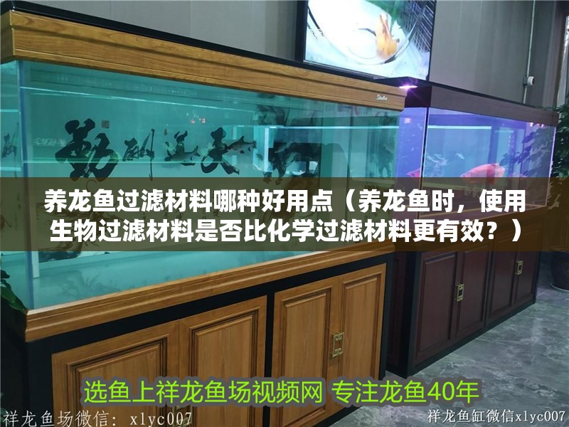 養龍魚過濾材料哪種好用點（養龍魚時，使用生物過濾材料是否比化學過濾材料更有效？） 養龍魚過濾材料哪種好用點（養龍魚時，使用生物過濾材料是否比化學過濾材料更有效？） 觀賞魚百科