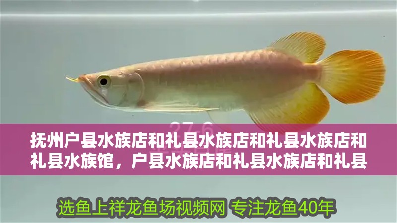 撫州戶縣水族店和禮縣水族店和禮縣水族店和禮縣水族館，戶縣水族店和禮縣水族店和禮縣水族店和禮縣水族店