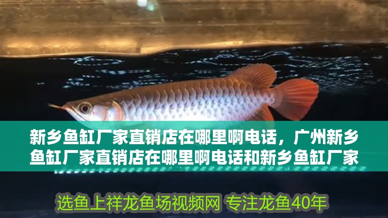 新鄉魚缸廠家直銷店在哪里啊電話，廣州新鄉魚缸廠家直銷店在哪里啊電話和新鄉魚缸廠家直銷店在哪里