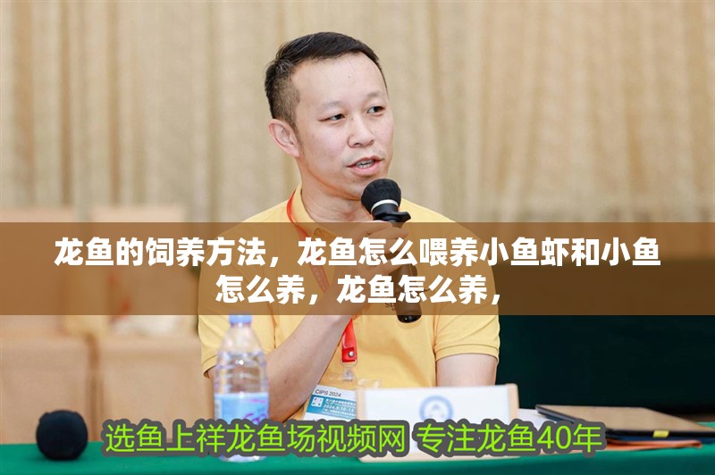 龍魚的飼養(yǎng)方法，龍魚怎么喂養(yǎng)小魚蝦和小魚怎么養(yǎng)，龍魚怎么養(yǎng)， 龍魚的飼養(yǎng)方法，龍魚怎么喂養(yǎng)小魚蝦和小魚怎么養(yǎng)，龍魚怎么養(yǎng)， 觀賞魚百科 第2張