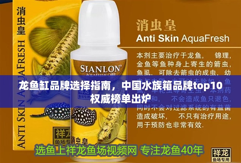 龍魚缸品牌選擇指南，中國水族箱品牌top10權威榜單出爐 龍魚缸品牌選擇指南，中國水族箱品牌top10權威榜單出爐 觀賞魚百科 第1張