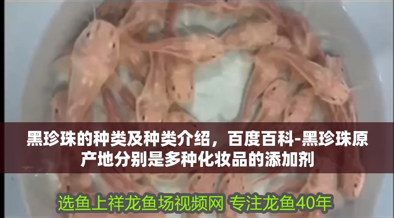 黑珍珠的種類及種類介紹，百度百科-黑珍珠原產(chǎn)地分別是多種化妝品的添加劑