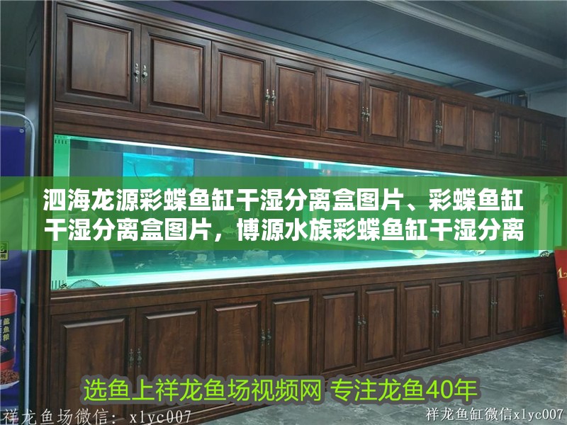 泗海龍源彩蝶魚缸干濕分離盒圖片、彩蝶魚缸干濕分離盒圖片，博源水族彩蝶魚缸干濕分離盒圖片、彩蝶魚缸干濕分離盒圖片