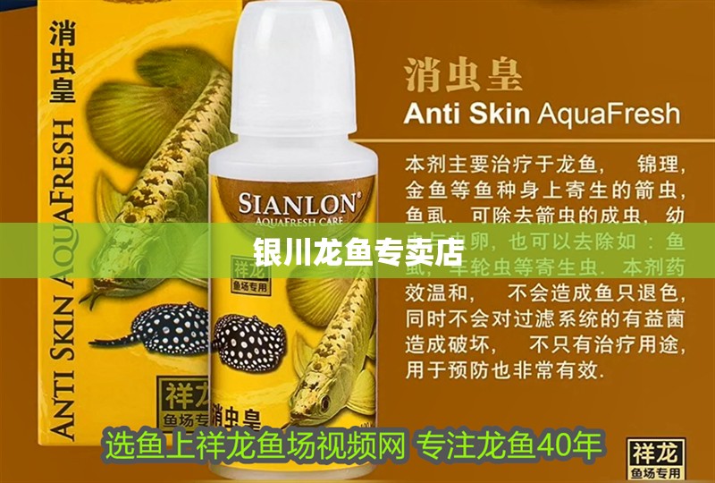 銀川龍魚專賣店