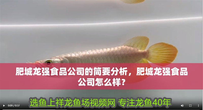 肥城龍強食品公司的簡要分析，肥城龍強食品公司怎么樣？