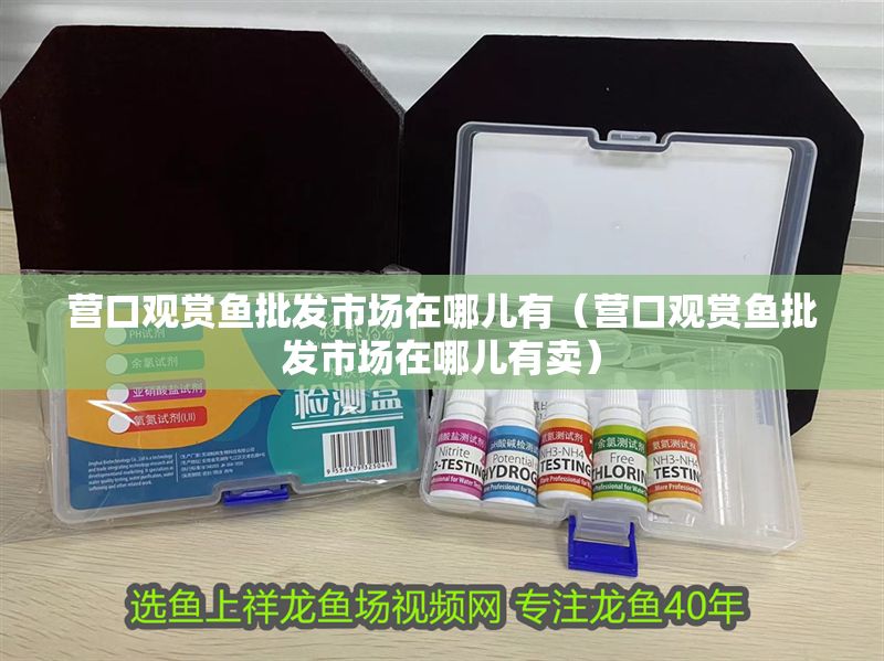 營口觀賞魚批發市場在哪兒有(營口觀賞魚批發市場在哪兒有賣) 龍魚百科 第1張 營口觀賞魚批發市場在哪兒有(營口觀賞魚批發市場在哪兒有賣) 營口觀賞魚批發市場在哪兒有(營口觀賞魚批發市場在哪兒有賣) 龍魚百科 第1張