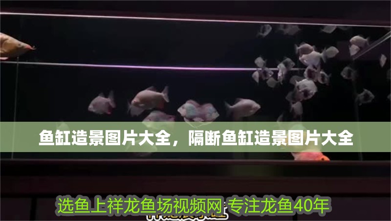 魚缸造景圖片大全，隔斷魚缸造景圖片大全