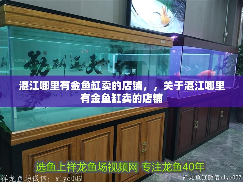 湛江哪里有金魚缸賣的店鋪，，關于湛江哪里有金魚缸賣的店鋪