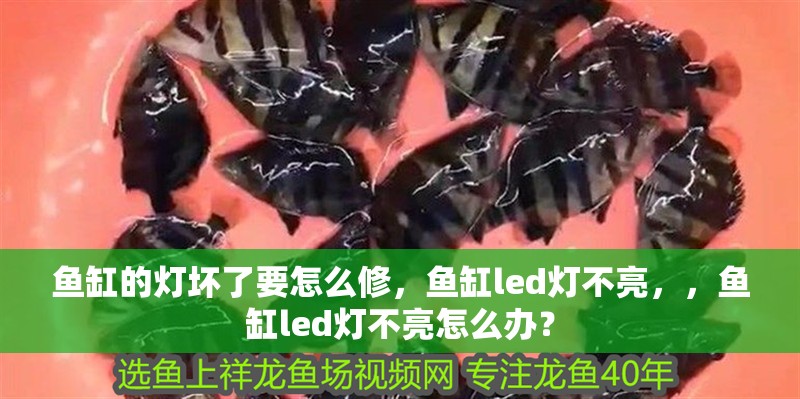 魚缸的燈壞了要怎么修，魚缸led燈不亮，，魚缸led燈不亮怎么辦？