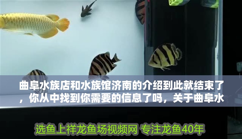 曲阜水族店和水族館濟(jì)南的介紹到此就結(jié)束了，你從中找到你需要的信息了嗎，關(guān)于曲阜水族店和水族館濟(jì)南的介紹