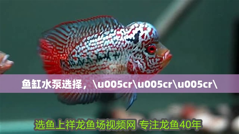 魚(yú)缸水泵選擇，\u005cr\u005cr\u005cr\