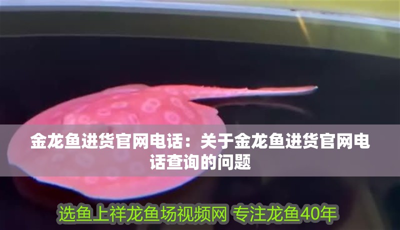金龍魚進貨官網電話：關于金龍魚進貨官網電話查詢的問題