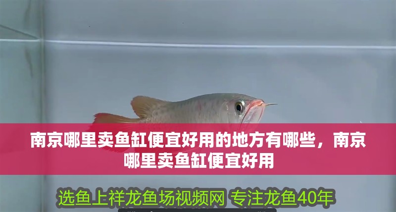 南京哪里賣魚缸便宜好用的地方有哪些，南京哪里賣魚缸便宜好用